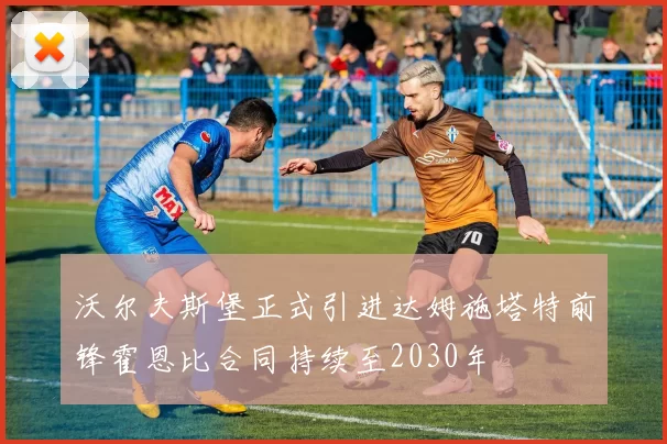 沃尔夫斯堡正式引进达姆施塔特前锋霍恩比合同持续至2030年